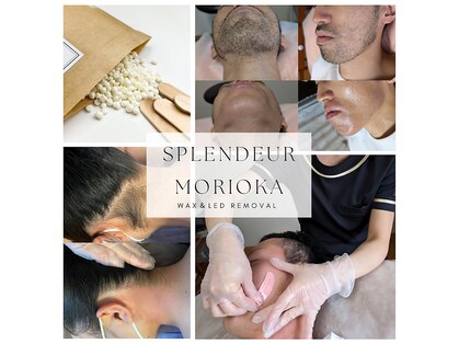 スプランドゥール(Splendeur)の写真