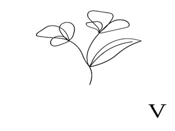 Dr.Flora Fem 錦糸町【黒ずみ・たるみ改善・フェムケア専門店】【3/2 OPEN (予定)】の写真/【デリケートゾーンケア×リンパケアで内側から整える◎】完全個室&結果重視のフェムケア専門店!