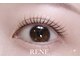 RENE.【3月1日OPEN(予定)】の写真