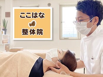 ここはな整体院/ロゴ