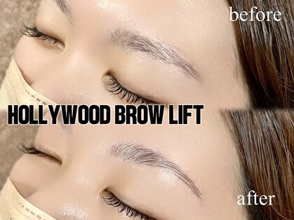 マドンナリリー(Madonna Lily)の写真