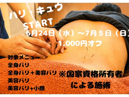 ロロ(ROLO)の写真