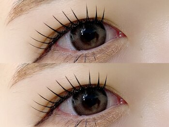 トムテ(tomte)/フラットラッシュ