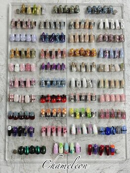 カメレオン(chameleon)/定額デザイン【2】