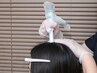 【次世代の育毛促進プログラム】モニター募集中!プロセルセラピーズ￥40,000