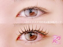 リノ(Lino)/エクパーマ100本 (C10mmのみ)