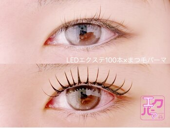 リノ(Lino)/エクパーマ100本 (C10mmのみ)