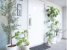 エンビロンサロン エイジングルーム ラヴィーア(Lavia)/植物がいっぱい♪