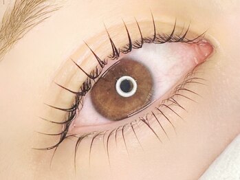 ベニーレ(Venire)/★Lash　lift　上下★