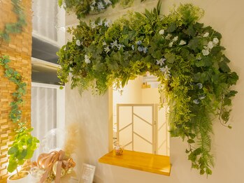 仙豆のちから 横浜関内店/緑いっぱいにお出迎え[横浜関内]