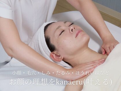 美カナエル(美kanaeru)の写真