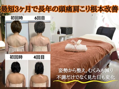 アイアイ ママ(mama)の写真