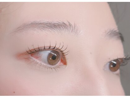 ロリ(Loli)の写真