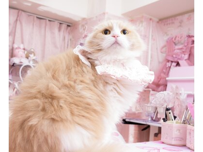 マロンズルーム(marron's room)の写真