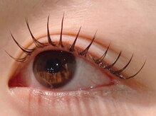 ザラボアングゥ(The Labo ungu)/【パリエク】