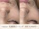 キヌ(KINU)の写真