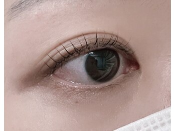 シンシア(SinSia)/