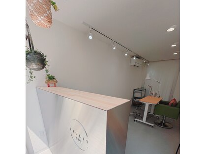 ティリット(TILLIT)の写真