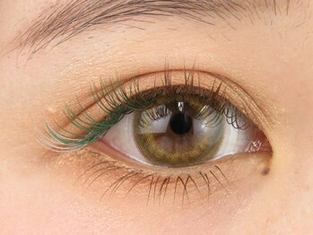 パティオアイラッシュ(Patio eyelash)/カラー選び放題 上下