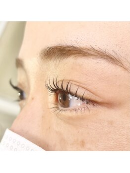 ノエルブラン(Noel blan)/立ち上げカール