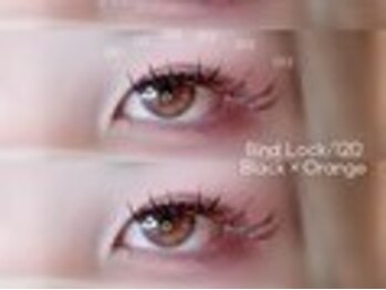 ナナリスボン 福岡(NANA LISBON)/バインドロック120束