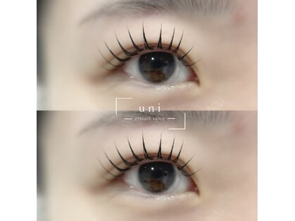 ユニ(uni)の写真