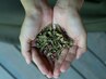 【２・３回目再来】よもぎ蒸し(30分）＋よもぎ酵素ドリンク付 5000円→4200円