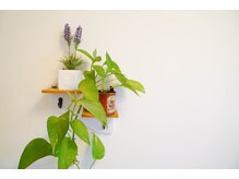 ライフバランスカイロプラクティック 松戸/リラックス