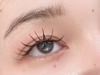 アマンズアイ(amans eye)/フラットラッシュ120本