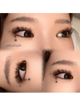 エクラ(eclat)/Wflatlash付け放題