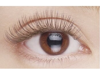 ボヌール(Bonheur)/シアーブラウン