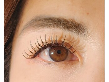 アイズオン(EYES ON)/LEDフラットラッシュエクパーマ