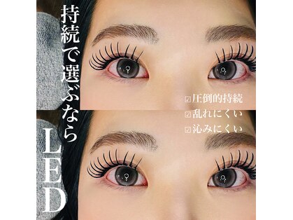 ノイ(neu)の写真