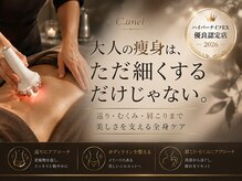 シーアンル(C.aneL)