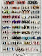 カメレオン(chameleon)/定額デザイン【3】