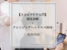 アッカ(AKKA.)/【スカルプケア入門】施術内容