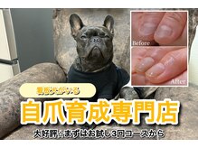 チャックル(chuckle)