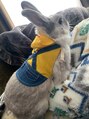 シェリー(Che'rie) うちで飼ってるうさぎさん!ビビりな男の子