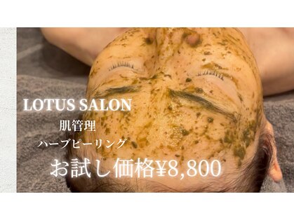 ロータス(LOTUS)の写真