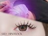 【8/4.5限定☆】持続力×ボリュームNo.1◎  LEDバインドロック100束 ￥5,980