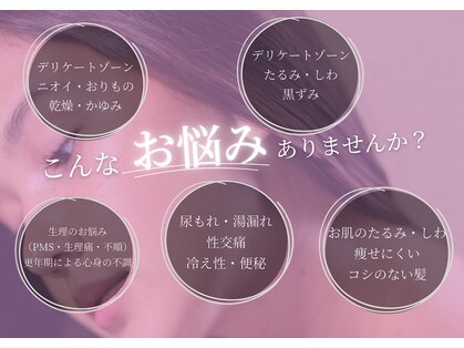 ベル(Belle)の写真