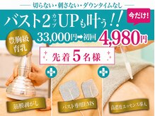 美人バスト 錦糸町店