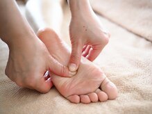 プレマータ(Prema-ta)/ゴリゴリっと！流しましょう！