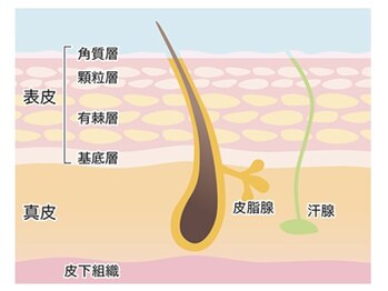 ヨサパーク マンモムー(YOSA PARK manmo-mu)/