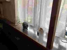 中野整体マスターズ/小顔矯正 よもぎ蒸し タイ古式