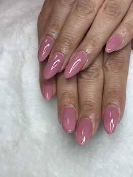 オランダエステティック(Holland Esthetics)/ワンカラー