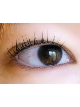 初めての方にオススメ