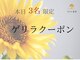 キリンの昼寝の写真