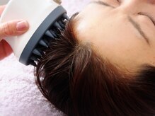 ルーシーガーデン(LUCY GARDEN)/頭皮に美容液注入