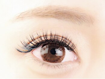 プリュムアイラッシュ(plume eyelash)/3D layer 120束